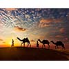 Rajasthan travel background - two indian cameleers (camel drivers) with camels silhouettes in dunes of Thar desert on sunset. Jaisalmer, Rajasthan, India