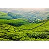 Kerala India travel background - green tea plantations in Munnar, Kerala, India - tourist attraction