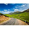 Kerala India travel background - road in green tea plantations in mountains in Munnar, Kerala, India