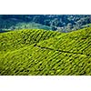 Kerala India travel background - green tea plantations in Munnar, Kerala, India - tourist attraction