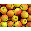 red apple background