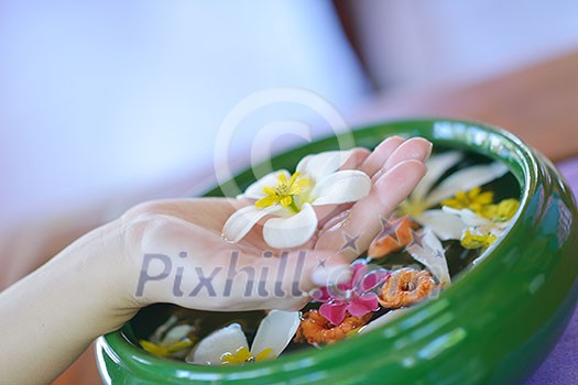 spa and beauty female hand and flower in water spa and beauty female hand and flower in water