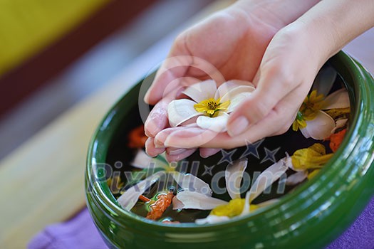 spa and beauty female hand and flower in water spa and beauty female hand and flower in water
