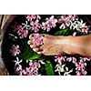 Closeup photo of a woman feet at spa salon on pedicure procedure. Legs care concept