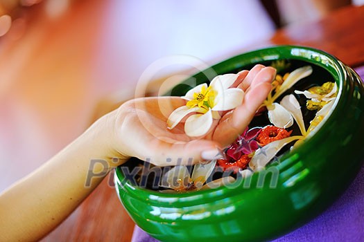 spa and beauty female hand and flower in water spa and beauty female hand and flower in water