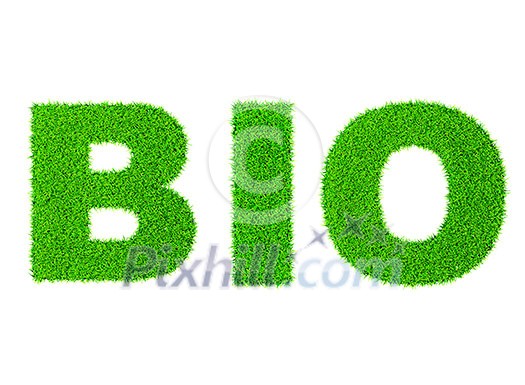 Grass word BIO - ecology eco friendly organic concept Grass word BIO - ecology eco friendly organic concept