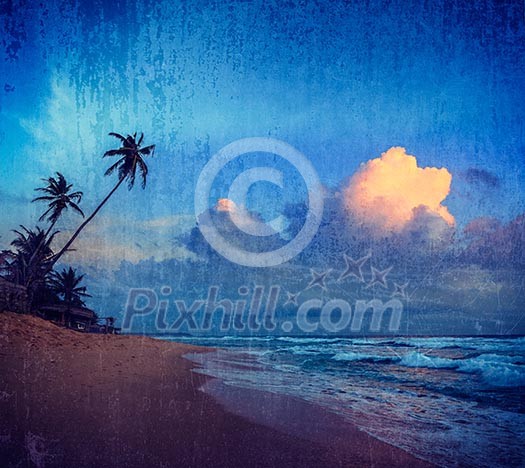Vintage retro hipster style travel image of sunset on tropical beach. Sri Lanka with grunge texture overlaid Vintage retro hipster style travel image of sunset on tropical beach. Sri Lanka with grunge texture overlaid