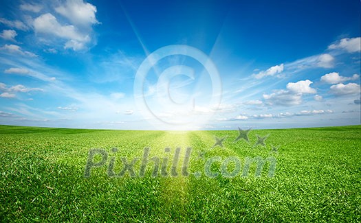 Sunset sun and field of green fresh grass under blue sky Sunset sun and field of green fresh grass under blue sky