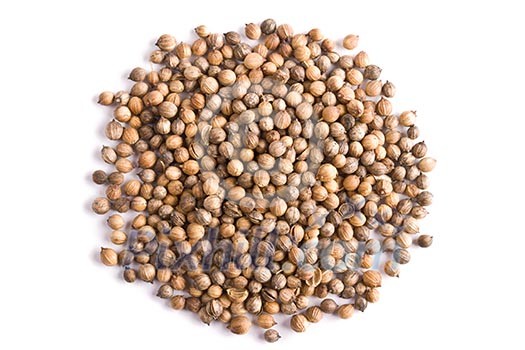 Pile of coriander close up on white background Pile of coriander close up on white background