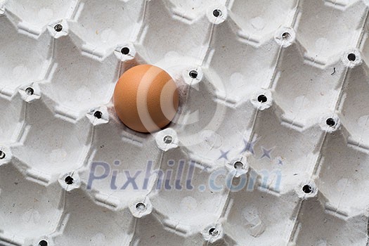 Eggs on white background Eggs on white background