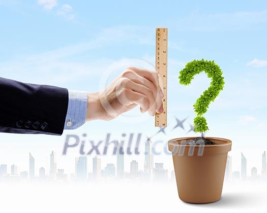 Human hand holding ruler and measuring pot plant Human hand holding ruler and measuring pot plant