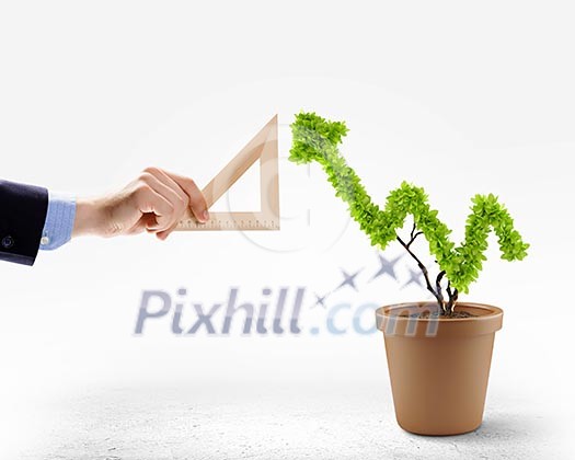 Close up of human hand measuring plant in pot Close up of human hand measuring plant in pot