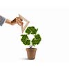 Plant in shape of recycle symbol and human hand holding ruler