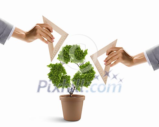 Plant in shape of recycle symbol and human hand holding ruler Plant in shape of recycle symbol and human hand holding ruler