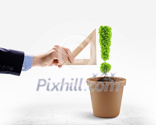 Image of plant in pot in shape of exclamation mark Image of plant in pot in shape of exclamation mark