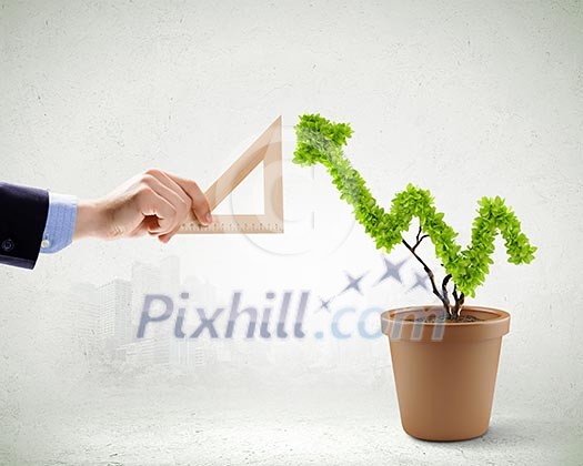 Close up of human hand measuring plant in pot Close up of human hand measuring plant in pot