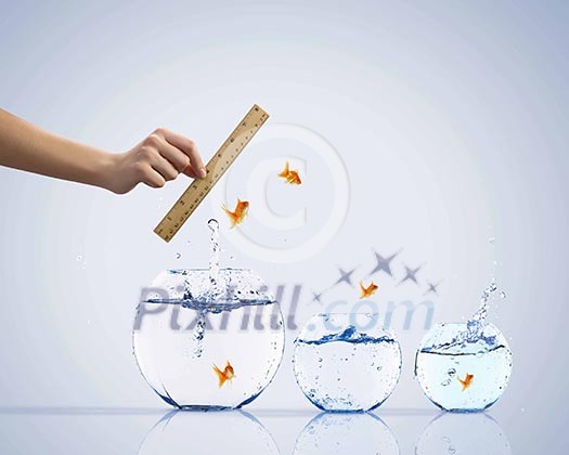 Aquarium with gold fish jumping out of water