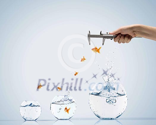 Aquarium with gold fish jumping out of water