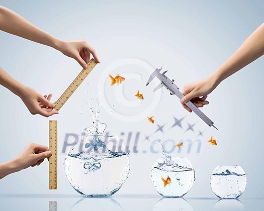 Aquarium with gold fish jumping out of water Aquarium with gold fish jumping out of water