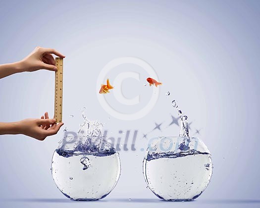 Aquarium with gold fish jumping out of water