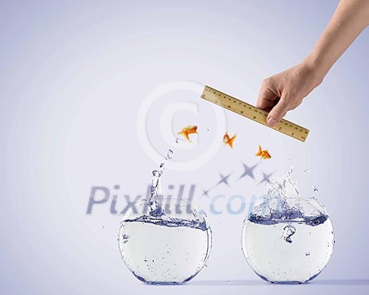 Aquarium with gold fish jumping out of water Aquarium with gold fish jumping out of water