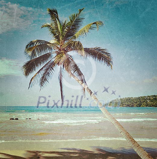 Vintage retro hipster style travel image of tropical paradise idyllic beach with palm with grunge texture overlaid. Sri Lanka Vintage retro hipster style travel image of tropical paradise idyllic beach with palm with grunge texture overlaid. Sri Lanka