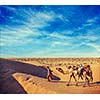 Vintage retro hipster style travel image of Rajasthan travel background - India cameleer (camel driver) with camels in dunes of Thar desert with grunge texture overlaid. Jaisalmer, Rajasthan, India