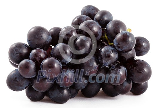 Bunch of black grapes isolated on white background Bunch of black grapes isolated on white background