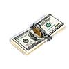 Money security concept