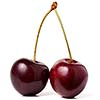 Two sweet cherries isolated on white