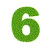 Grass number 6 six - ecology eco friendly concept character type
