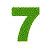 Grass number 7 seven - ecology eco friendly concept character type