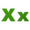 Grass letter X - ecology eco friendly concept character type