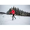 Cross-country skiing: young woman cross-country skiing on a  winter day (motion blurred image)