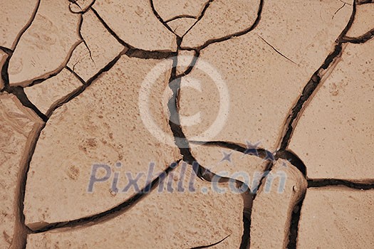 dry brown ground background dry brown ground background