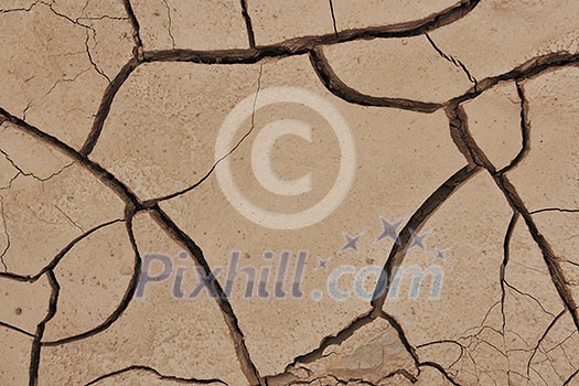 dry brown ground background dry brown ground background