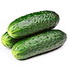 Three green cucumbers isolated on white background