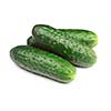 Three green cucumbers isolated on white background