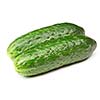 Two green cucumbers isolated on white background