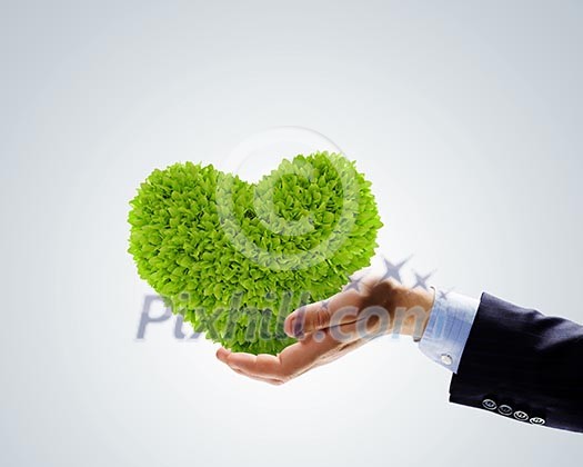 Image of human hands with plant shaped like heart. Environmental protection Image of human hands with plant shaped like heart. Environmental protection