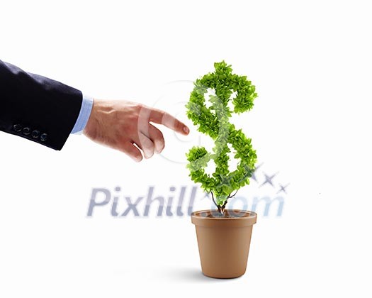 Image of human hands holding plant shaped like dollar Image of human hands holding plant shaped like dollar