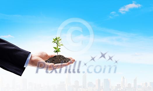 Close up image of human hands holding sprout Close up image of human hands holding sprout