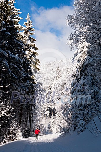 Cross-country skiing: young man cross-country skiing on a lovely sunny winter day Cross-country skiing: young man cross-country skiing on a lovely sunny winter day