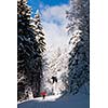 Cross-country skiing: young man cross-country skiing on a lovely sunny winter day