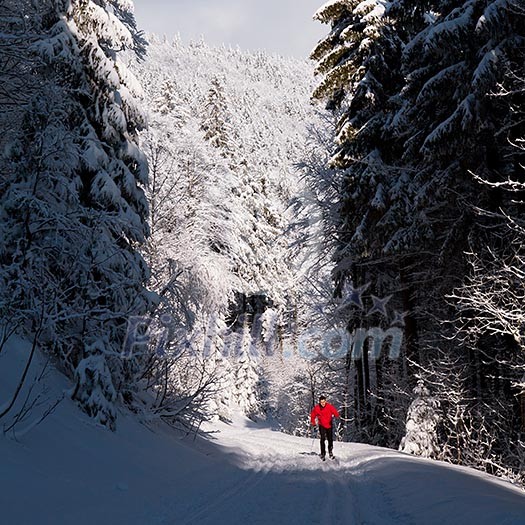Cross-country skiing: young man cross-country skiing on a lovely sunny winter day Cross-country skiing: young man cross-country skiing on a lovely sunny winter day
