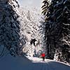 Cross-country skiing: young man cross-country skiing on a lovely sunny winter day