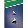 Badminton - badminton courts with two shuttlecocks (shallow DOF; color toned image)
