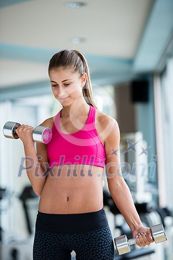 Gorgeou woman girl lifting some weights and working on her biceps in a gym Gorgeou woman girl lifting some weights and working on her biceps in a gym