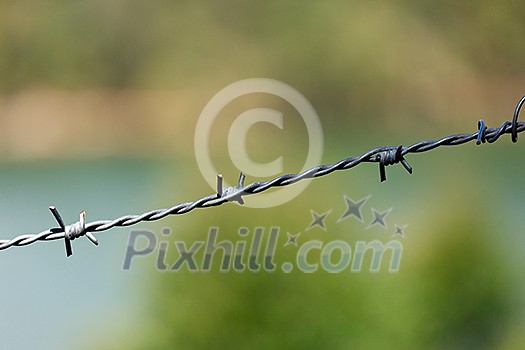 Steel barbed wire on blurred background Steel barbed wire on blurred background