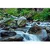 Cascade falls over mossy rocks